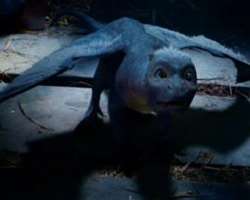 The actress has also done voice roles including the voice of Saphira in the film 